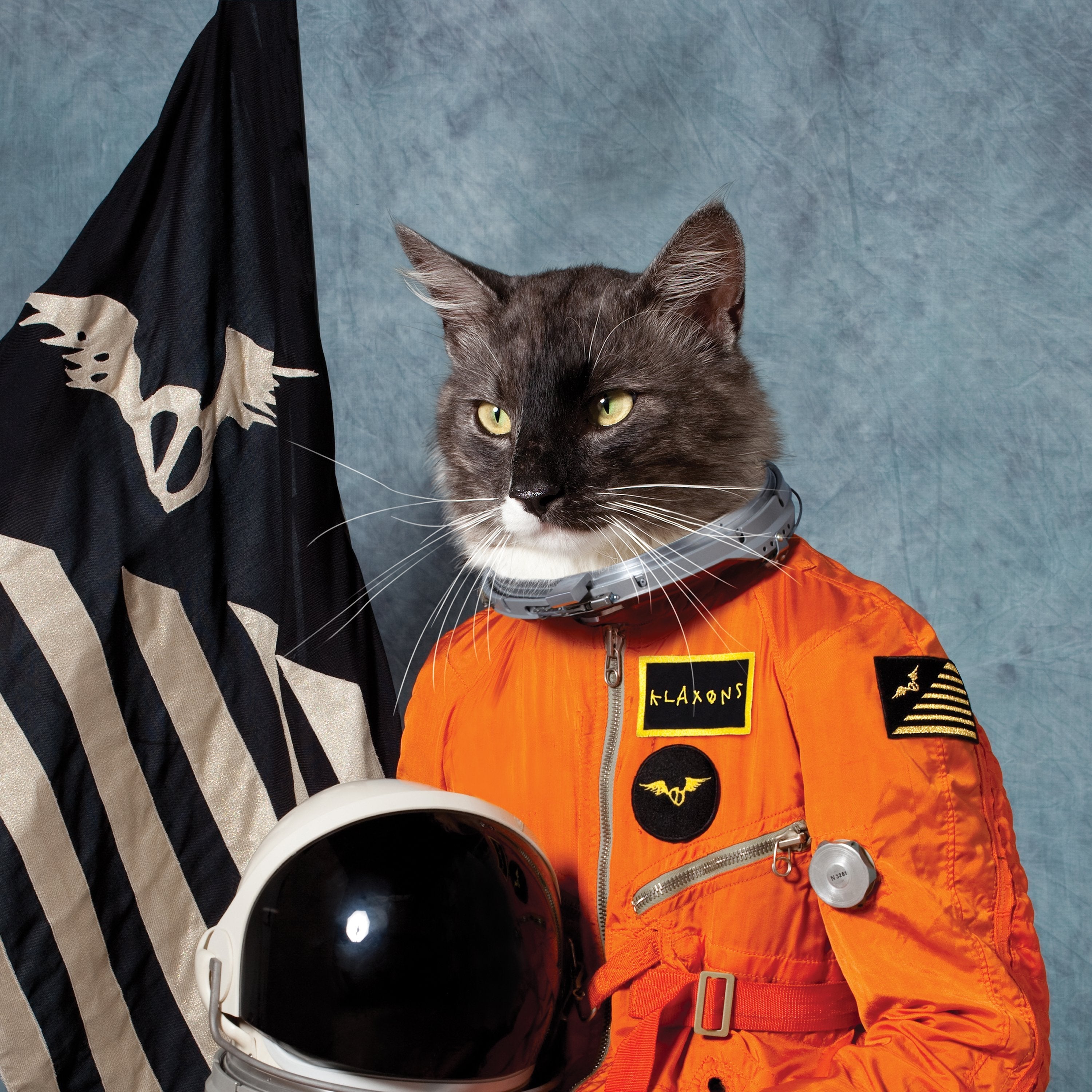 Klaxons - Surfing The Void