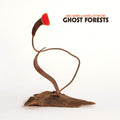 Meg Baird & Mary Lattimore - Ghost Forest