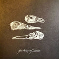 Jason Molina / Mj Lenderman - The Last Three Human Words (demo) / Just Be Si [VINYL]