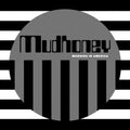 Mudhoney - Morning In America