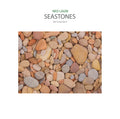 Ned Lagin - Seastones