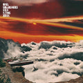 Gallagher's, Noel  High Flying Birds -  It's A Beautiful World
