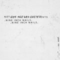 Nine Inch Nails - Not The Actual Events