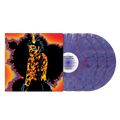 Outkast - Stankonia