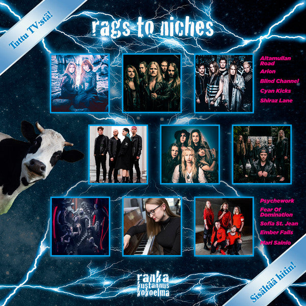 Rags To Riches - Rags To Niches [VINYL]