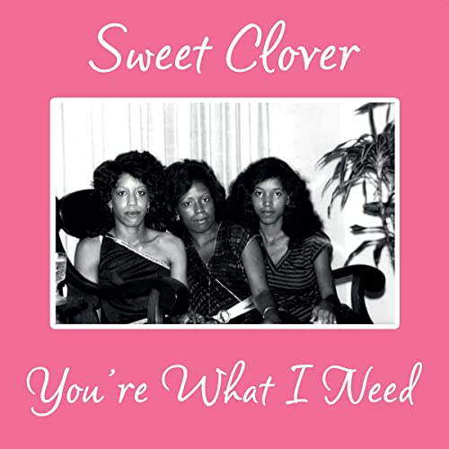 Various - Youre What I Need [VINYL]