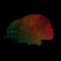 Thaba - Eyes Rest Their Feet (LP) [VINYL]