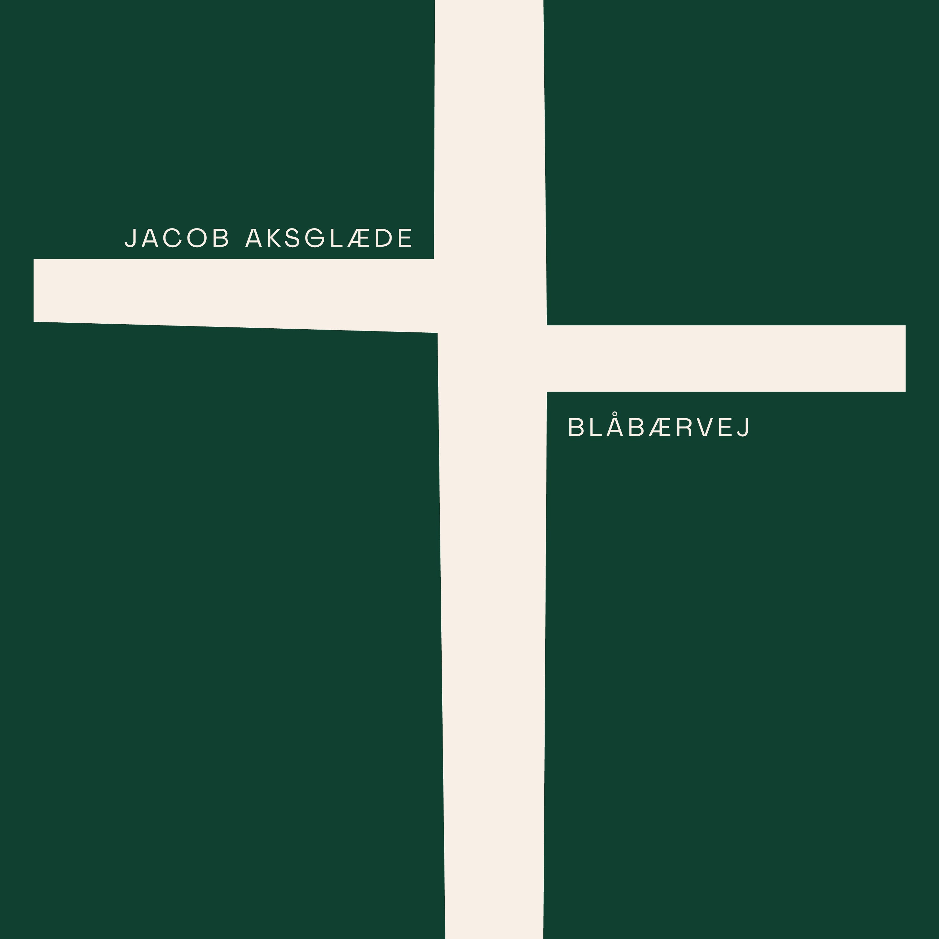 Aksglæde - Blåbærvej