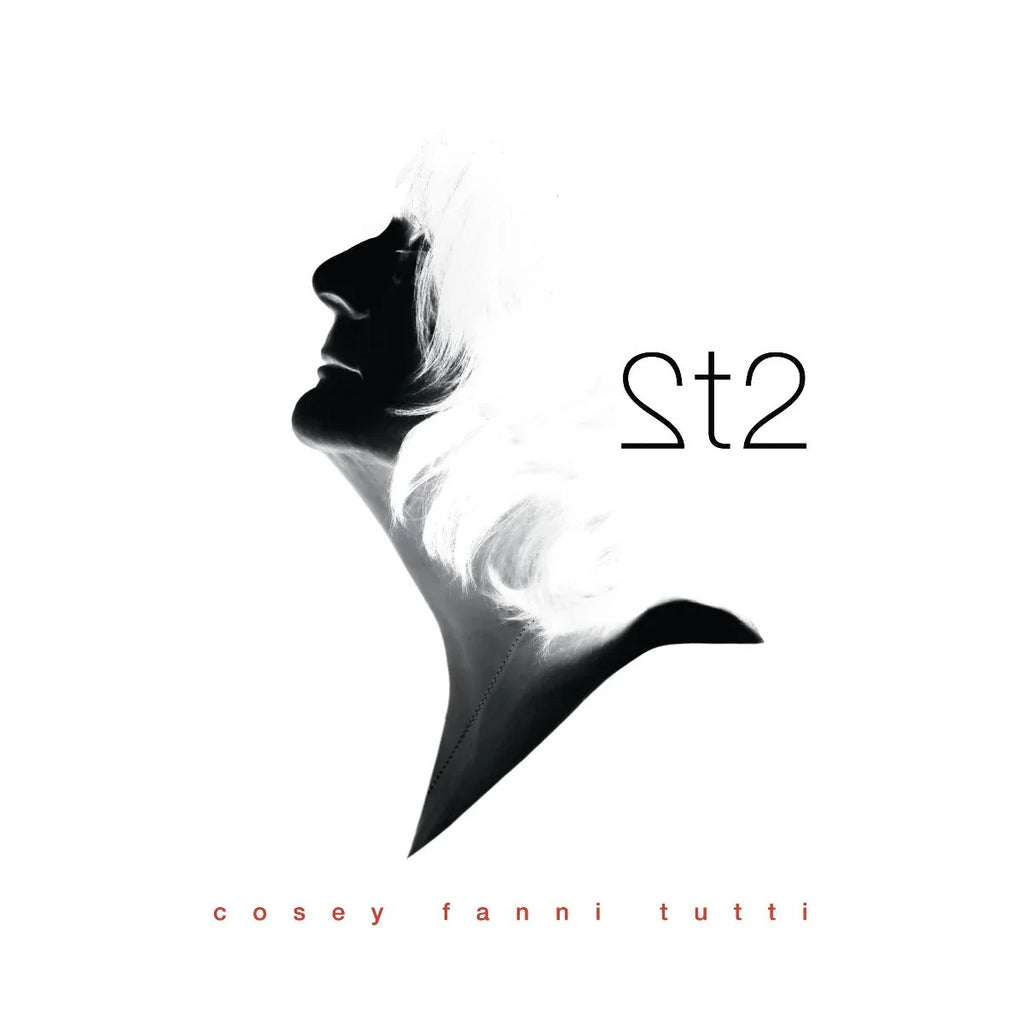 Cosey Fanni Tutti - 2t2