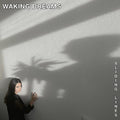 Waking Dreams - Vandring [VINYL]